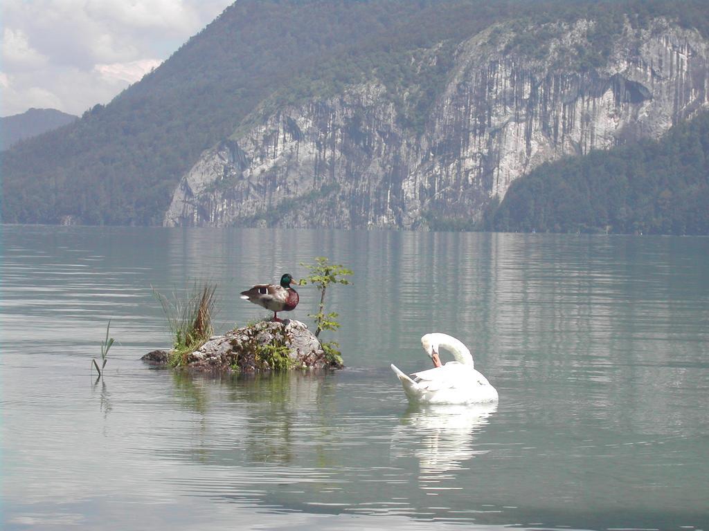 Landhaus Leitner Am Wolfgangsee ザンクト・ギルゲン エクステリア 写真